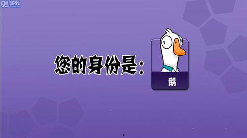 娱乐吃瓜鹅鸭视频下载,鹅鸭视频下载攻略，轻松获取热门娱乐内容