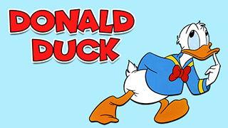 大熊爆料周易视频大全,周易视频大全深度解析  第2张