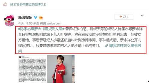 娱乐圈吃瓜爆料找谁举报,揭秘如何有效举报吃瓜信息